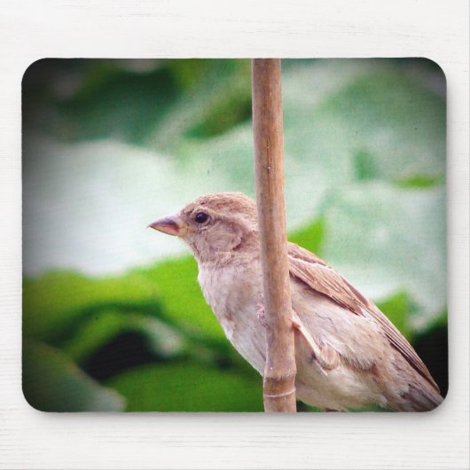 Sparrow Muismat (Voorkant)