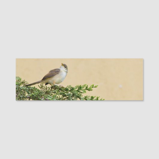 Sparrow Naamplaatje (Voorkant)