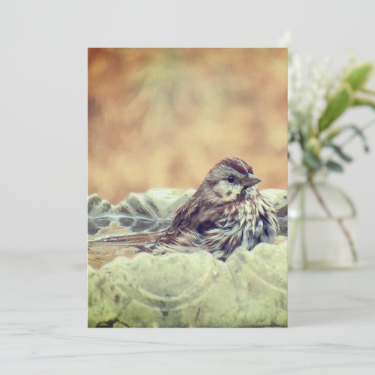 Sparrow neemt een bad bedankkaart (Staand voorkant)