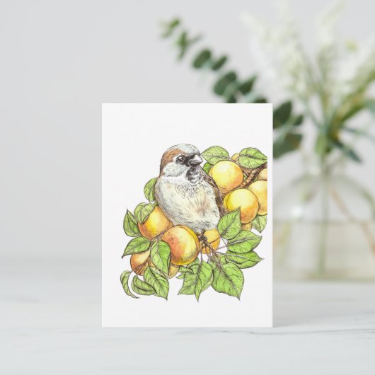 Sparrow on a apricot tak briefkaart (Staand voorkant)