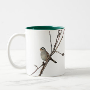 Sparrow on a branch Mok