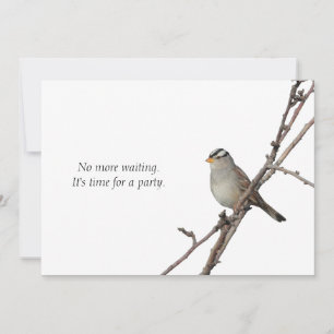 Sparrow on a branch Party Invitation Kaart