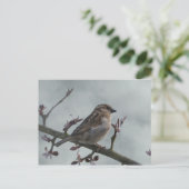 Sparrow on Branch Briefkaart (Staand voorkant)