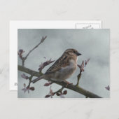 Sparrow on Branch Briefkaart (Voorkant / Achterkant)