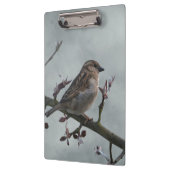 Sparrow on Branch Klembord (Links)