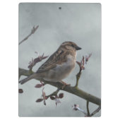 Sparrow on Branch Klembord (Achterkant)