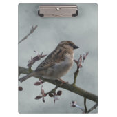 Sparrow on Branch Klembord (Voorkant)