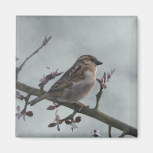 Sparrow on Branch Photo Magneet