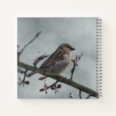 Sparrow on Branch Photo Notitieboek (Achterkant)