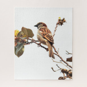 Sparrow on Branch Puzzle Legpuzzel