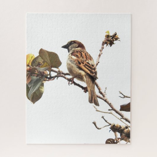 Sparrow on Branch Puzzle Legpuzzel (Verticaal)