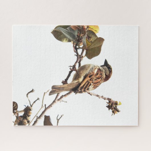 Sparrow on Branch Puzzle Legpuzzel (Horizontaal)