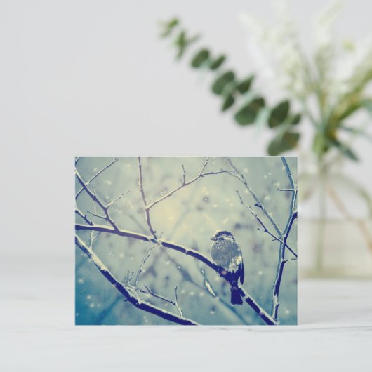 Sparrow on the snowy tak briefkaart (Staand voorkant)
