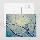 Sparrow on the snowy tak briefkaart (Voorkant / Achterkant)