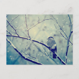 Sparrow on the snowy tak briefkaart