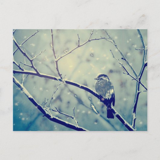Sparrow on the snowy tak briefkaart (Voorkant)
