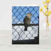 "Sparrow On Wire" - Hartelijk dank - Kaart (Gele Bloem)