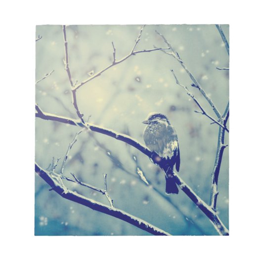 Sparrow op de besneeuwde tak notitieblok (Voorkant)