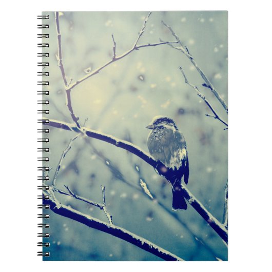 Sparrow op de besneeuwde tak notitieboek (Voorkant)