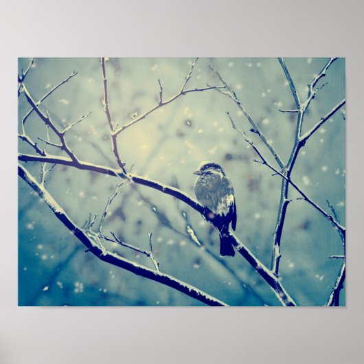Sparrow op de besneeuwde tak poster (Voorkant)