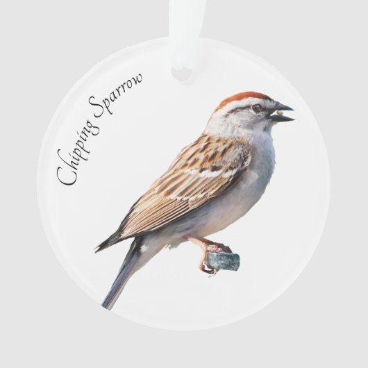 Sparrow Ornament (voorkant)
