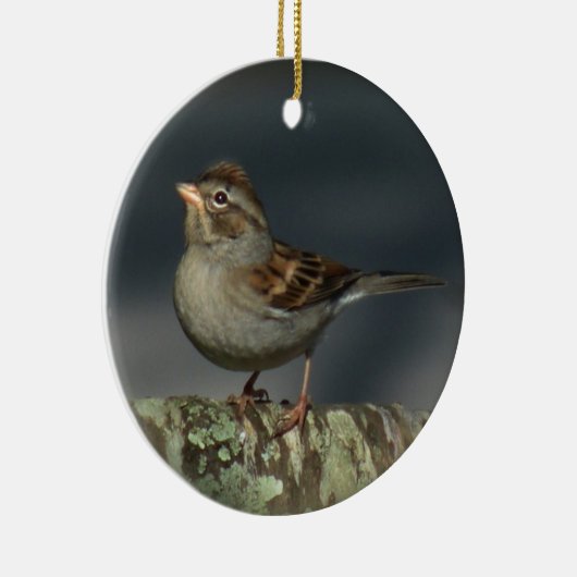 Sparrow Ornament (Rechts)