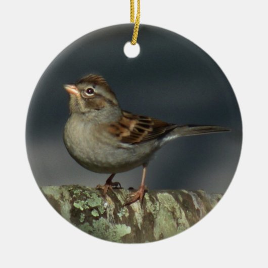 Sparrow Ornament (Voorkant)