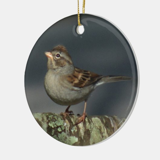 Sparrow Ornament (Links)