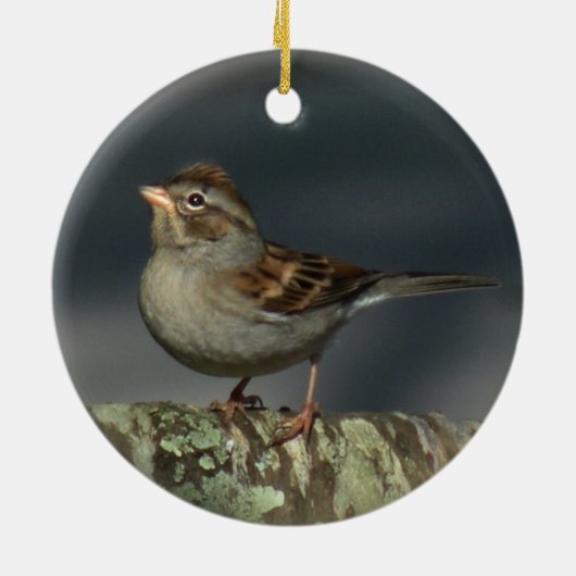 Sparrow Ornament (Achterkant)