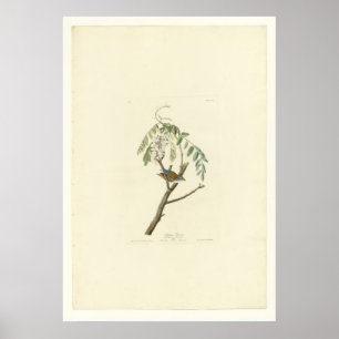 Sparrow Poster