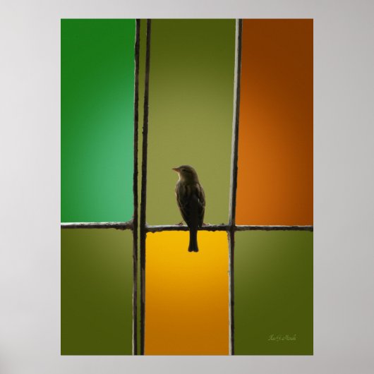 Sparrow Poster (Voorkant)