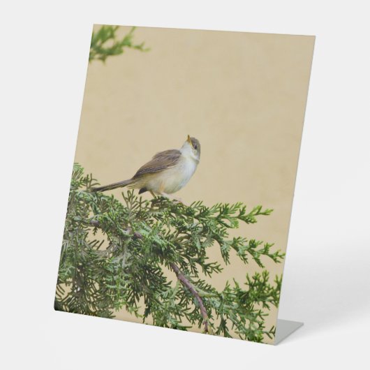 Sparrow Reclamebord Met Voetstuk (Voorkant)