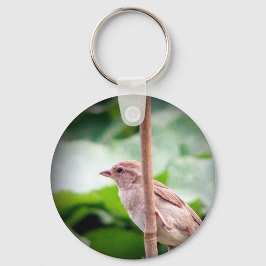 Sparrow Sleutelhanger (Voorkant)