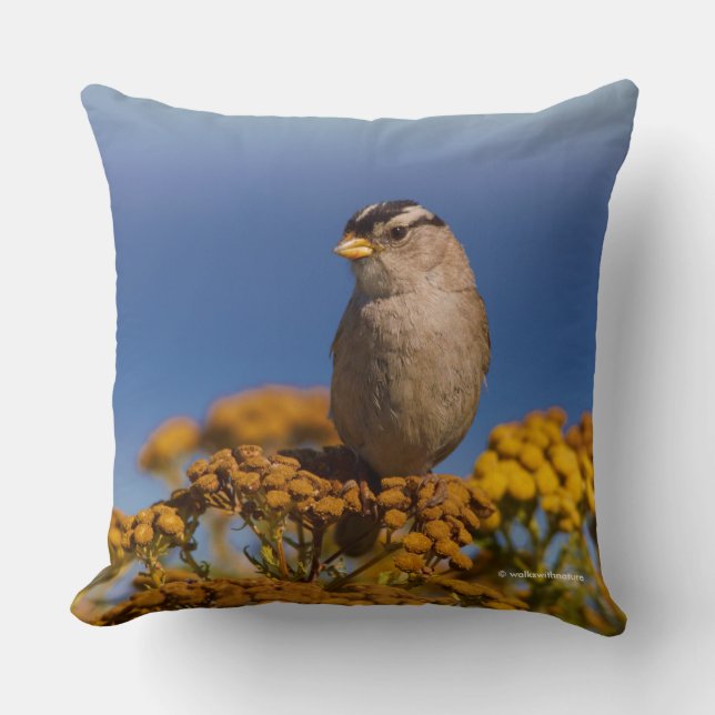 Sparrow Songbird Sitting on Tansy Kussen (Voorkant)