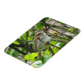 Sparrow Spring Lilacs Magnet Magneet (Linkerzijde)