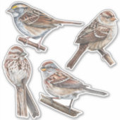 Sparrow Stickers Value Pack (Voorkant)