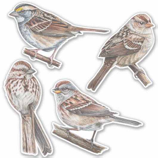 Sparrow Stickers Value Pack (Voorkant)