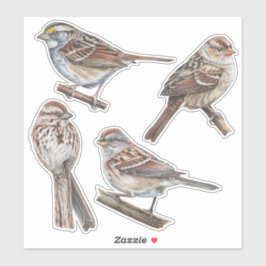 Sparrow Stickers Value Pack