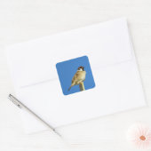 Sparrow (suzume): Japan Vierkante Sticker (Envelop)