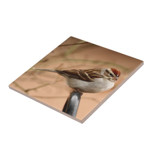 Sparrow Tegeltje (Zijkant)
