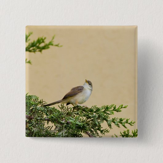 Sparrow Vierkante Button 5,1 Cm (Voorkant)