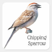 Sparrow Vierkante Sticker (Voorkant)