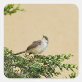 Sparrow Vierkante Sticker (Voorkant)