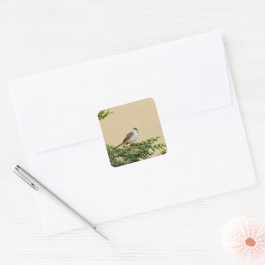 Sparrow Vierkante Sticker (Envelop)