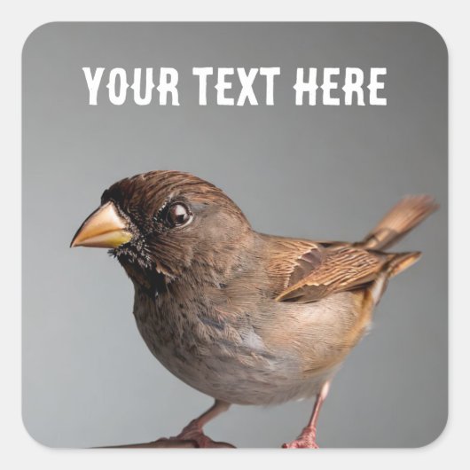 Sparrow Vierkante Sticker (Voorkant)