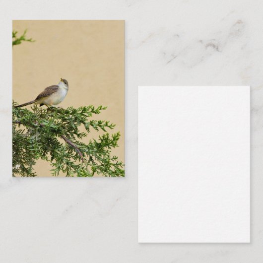 Sparrow Visitekaartje (Voorkant / Achterkant)