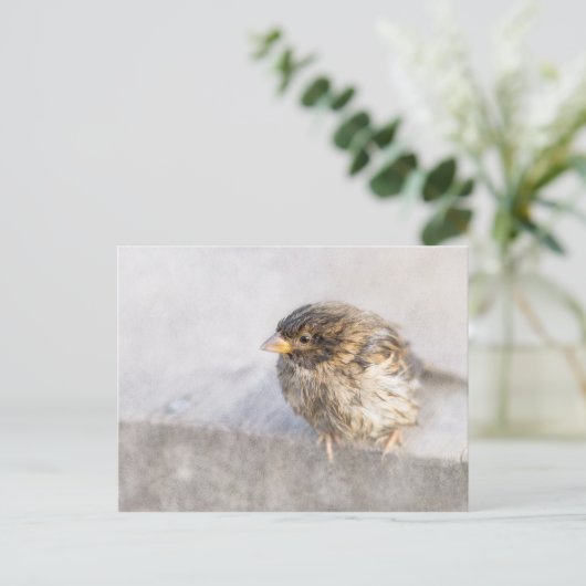 Sparrow - Weer Forecast Epic Fail Briefkaart (Staand voorkant)