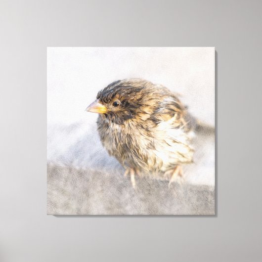 Sparrow - Weer Forecast Epic Fail Canvas Afdruk (Voorkant)