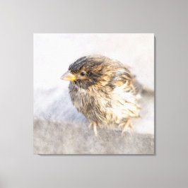 Sparrow - Weer Forecast Epic Fail Canvas Afdruk