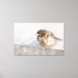 Sparrow - Weer Forecast Epic Fail Canvas Afdruk